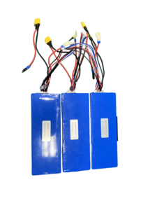 Elektrikli araçlar için dayanıklı lityum demir fosfat pil özel şarj edilebilir LFP 26650 7S1P 22.4v Electric 2500 çevrim ömrü (EV) - Product Image 6