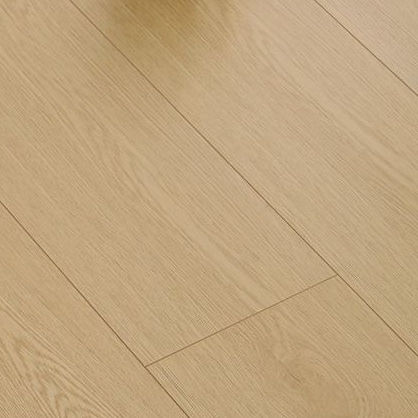 BG8005 Environmental E0 High Density Household 1