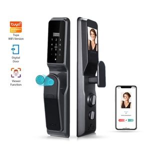 Yüz/parmak izi/palmiye ve şifre IC kart akıllı kapı kilidi ile TUYA WIFI veya TT kilidi APP görüntüleyici görüş dijital kamera ile