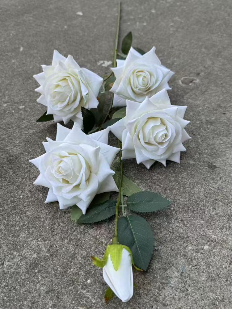 Bianco