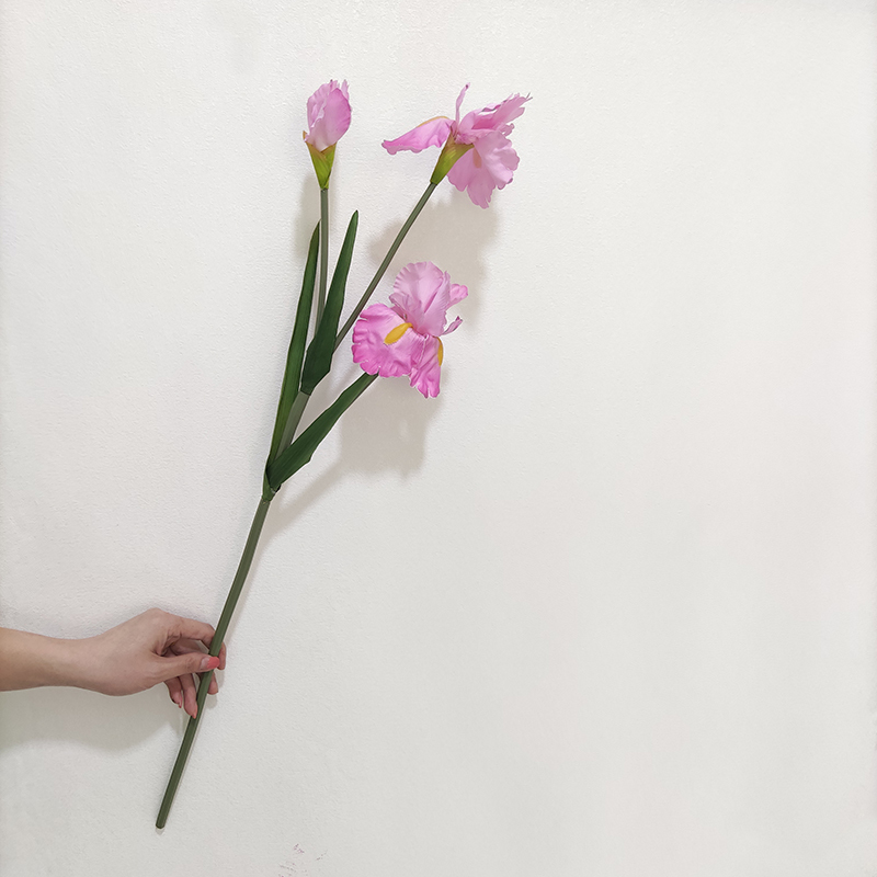 dark pink
