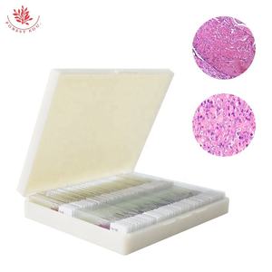 Mikroskop slide 100 Item standar Universitas pra-dokter Set <span class=keywords><strong>Slides</strong></span> disiapkan inovasi manusia FRT2002 - Product Image 4