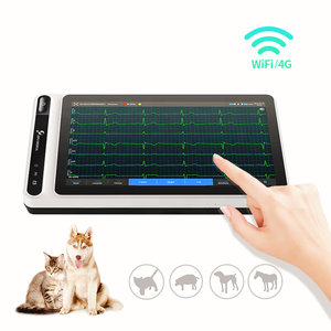 7Inch <span class=keywords><strong>Ecg</strong></span> Machine Ekg Monitor Ziekenhuis Kleurendisplay <span class=keywords><strong>Ecg</strong></span> 3 Kanaal 12 Leidt Handheld Elektrisch <span class=keywords><strong>Ecg</strong></span> Apparaat - Product Image 5