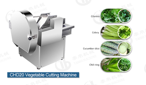 CHD-20 paslanmaz çelik otomatik sebze meyve pırasa/lahana/ıspanak/kereviz/lahana kesme makinası/işleme makinesi/Kesici - Product Image 6