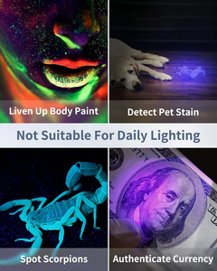UV Mini anahtarlık LED el feneri meşale ışık lamba Blacklight anahtar halka ışık meşale siyah ışık UV el feneri ultraviyole - Product Image 2
