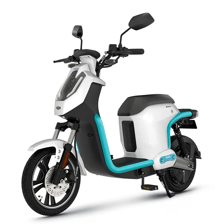 EEC COC Elektro roller/Mopeds/Fahrrad/Elektromotor rad für Erwachsene/Bicl mit 1500W BOSCH Motor 48 V26AH LG Lithium batterie