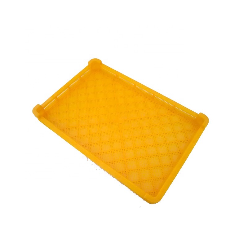 Giallo