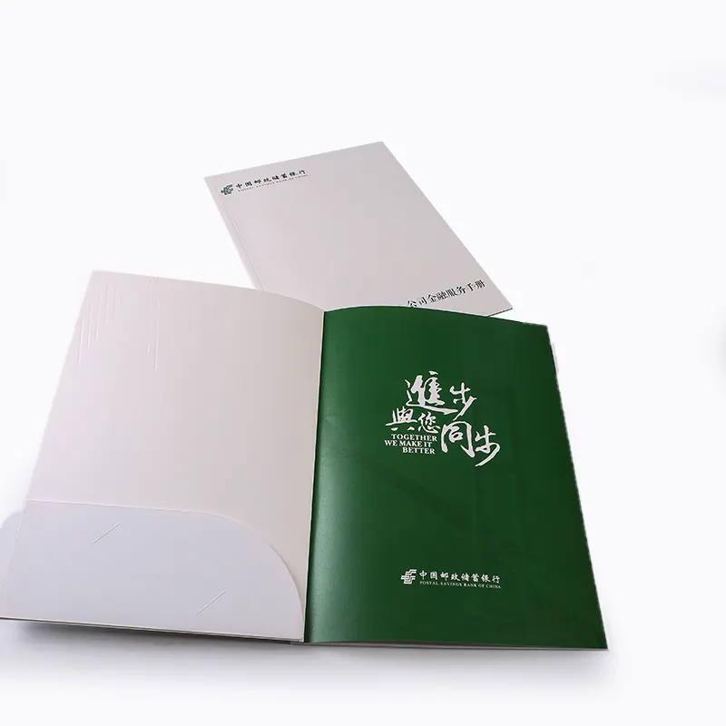 Ustom-Servicio de papel de enjuague, folleto plegable, catálogo y especificaciones coloridas