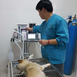 Máquina de anestesia veterinaria médica para mascotas con mango portátil Sistema DE SEGURIDAD DE fácil operación uso animal con CE - Product Image 1