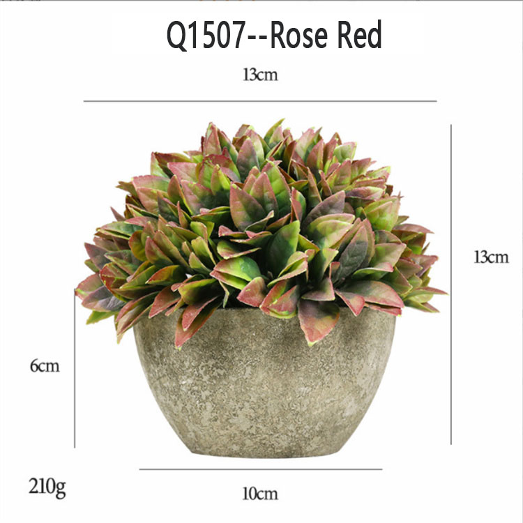 Q1507 -- Rose rouge
