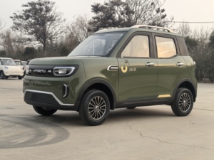 <span class=keywords><strong>HaiBao</strong></span> 4 tekerlekli 5KW serin yetenekli: 4 tekerlekli Off-Road EV geniş, rahat, fabrika doğrudan!