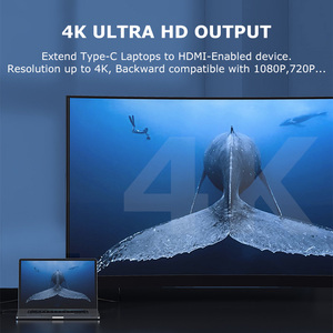 Docking Station Hub Usb C 11 in 1 da tipo C a VGA 4K 1080P Hub di rete Ethernet Usb 3.0 adattatore tipo C a 11 porte per Macbook Air M1 - Product Image 3
