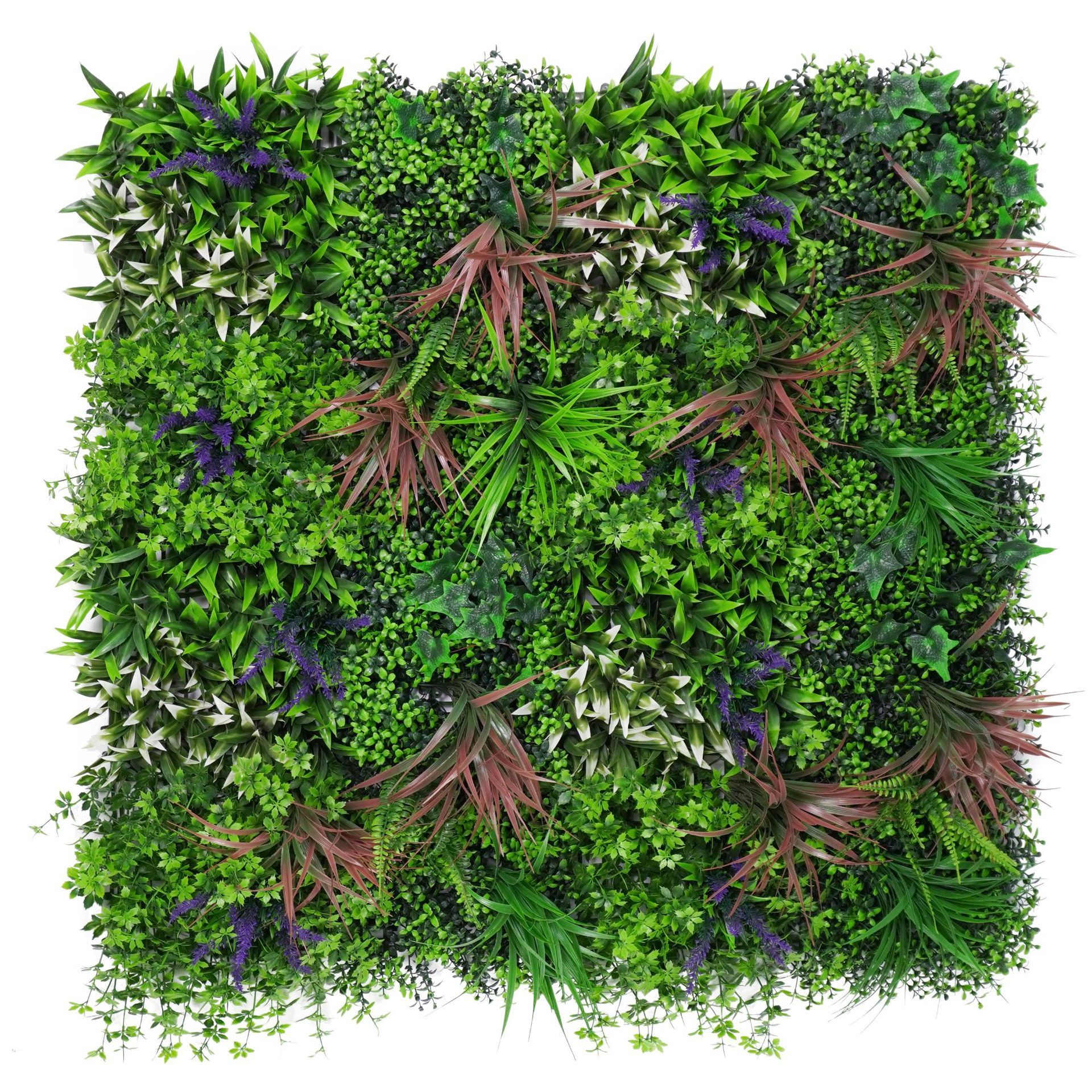 Herbe qui pousse, orioles qui volent