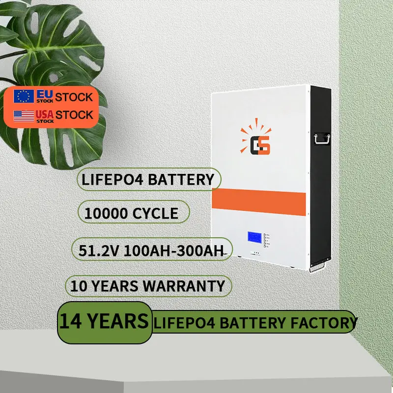 Smart Power Wall 5kWh 10kWh 25kWh 24V 48V 200Ah 100Ah 51,2 V Lifepo4 LFP-Akku Lifepo4 Batterie-Energie speichers ystem