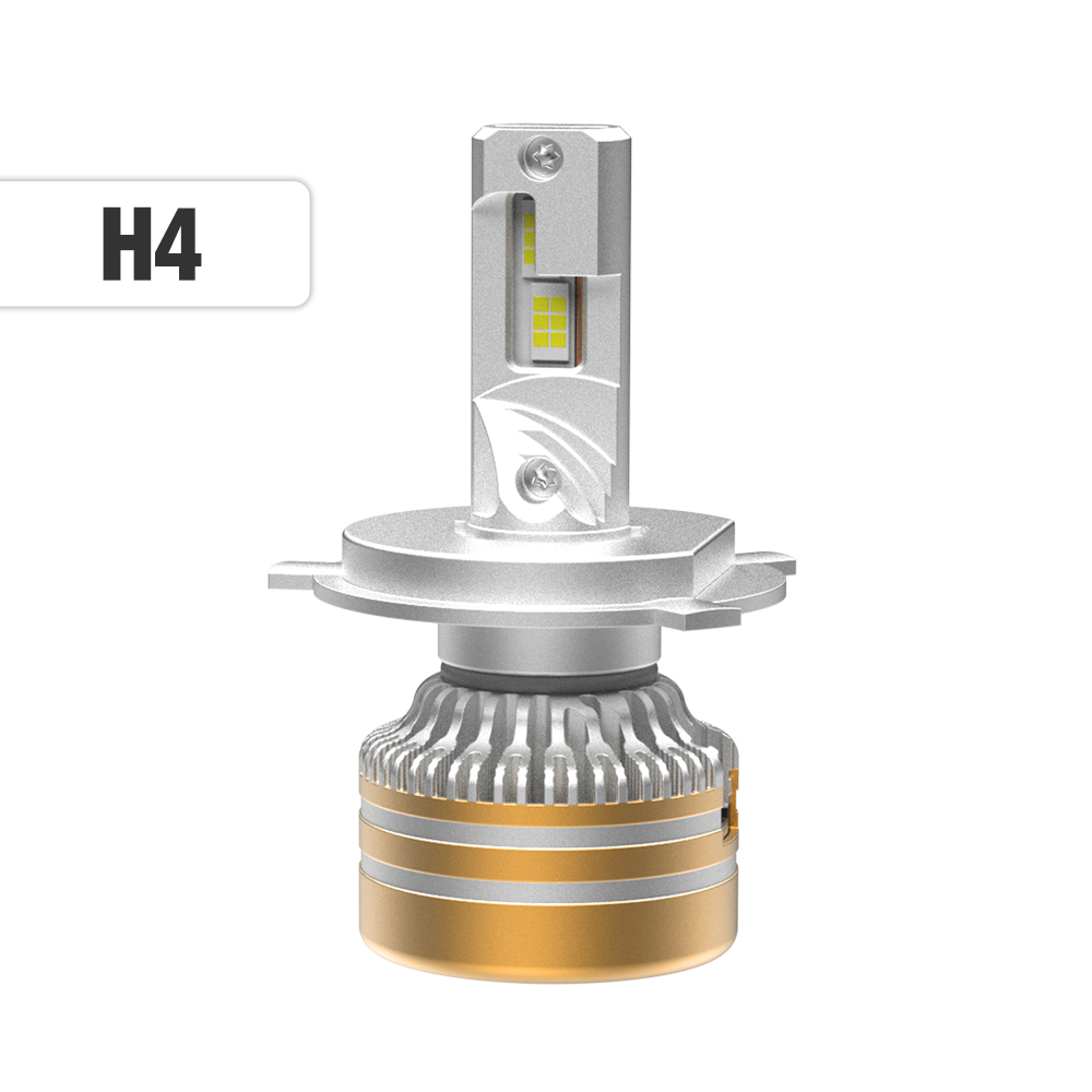 H4