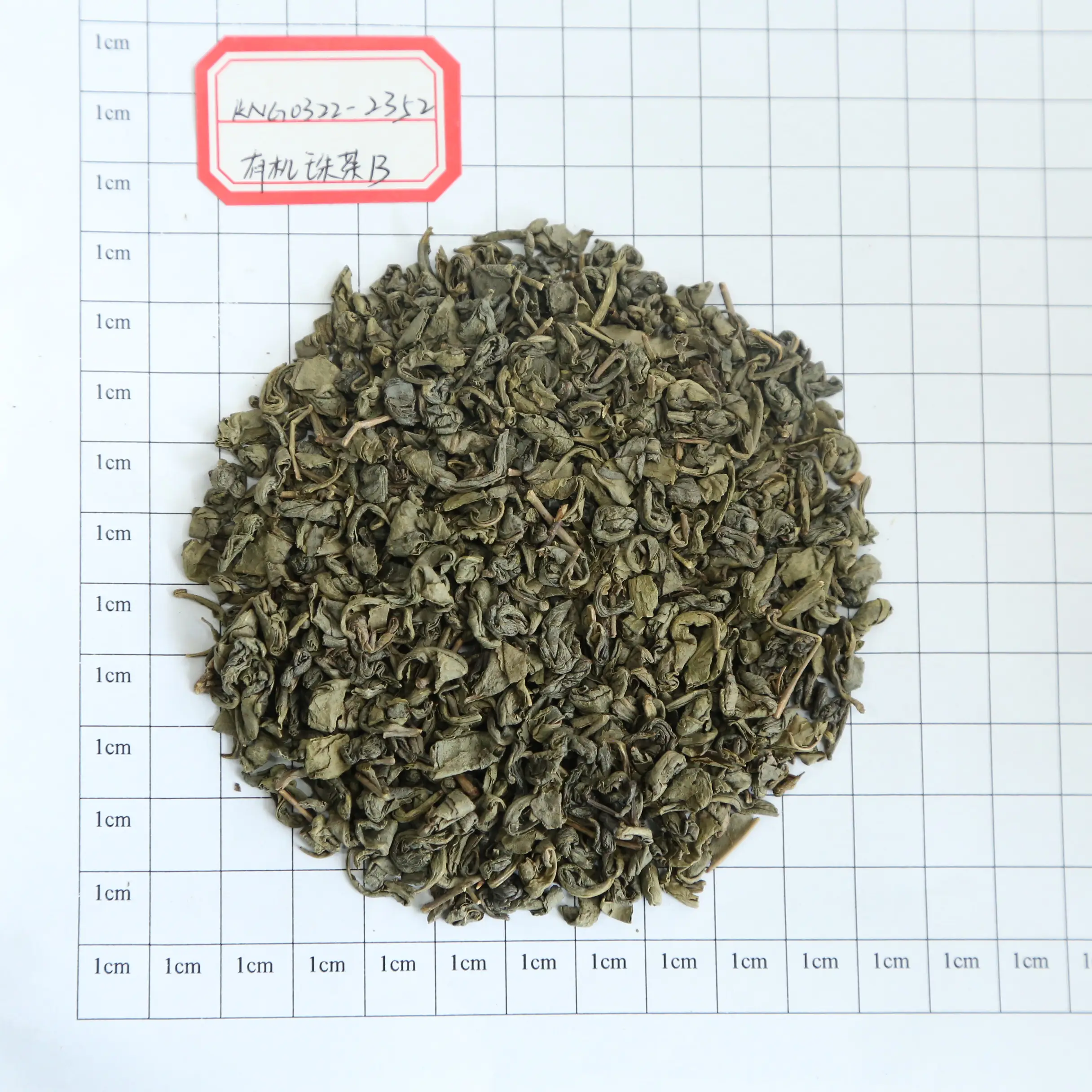 9372 del tè verde della polvere da sparo di vendita diretta della fabbrica con la norma organica