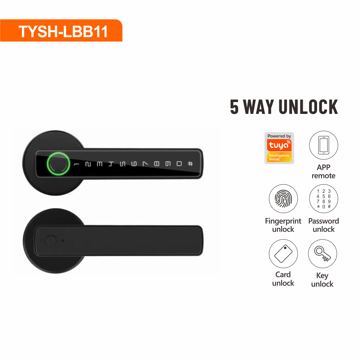 LBB11