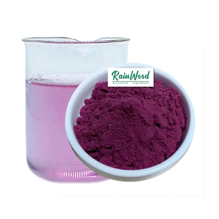 Poudre lyophilisée naturelle en vrac soluble dans l'eau Acai Fruit Powder Brésil Acai Berry Powder