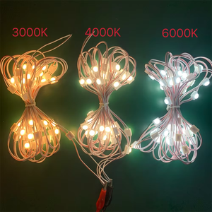 IP65定電圧12V/24V LEDモジュールバックライト耐久性と耐候性製品カテゴリLEDモジュール - Product Image 3