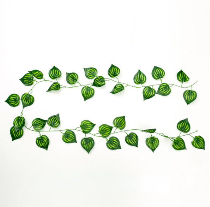 36 feuilles de pastèque vertes de 2,3 m de long
