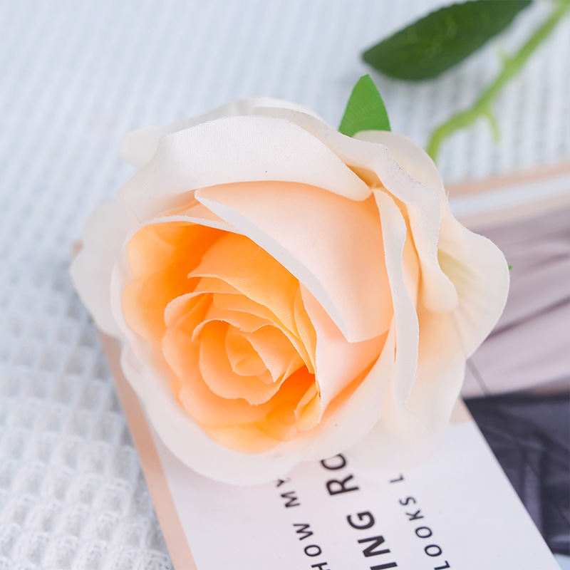 Rose-orange soleil unique
