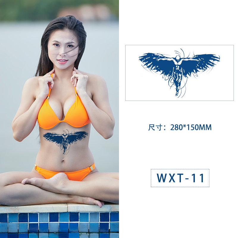 WXT011 (en inglés)