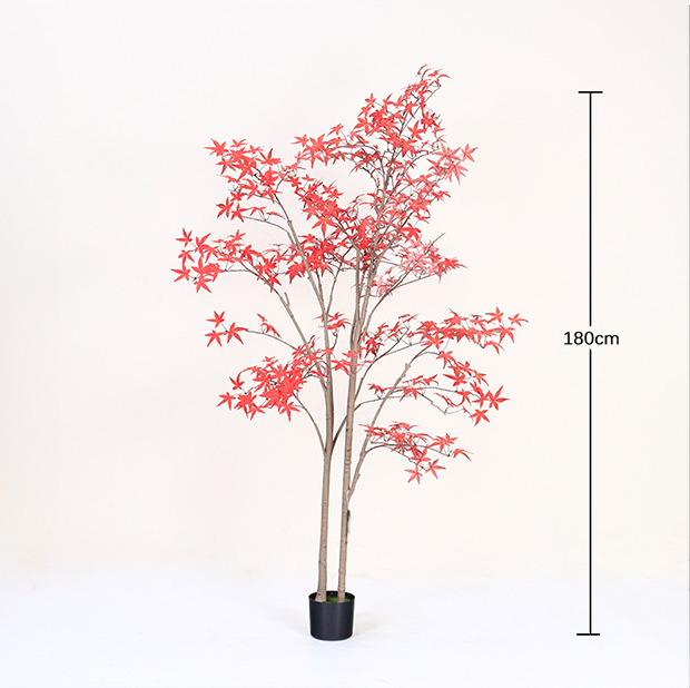 Rouge 180cm