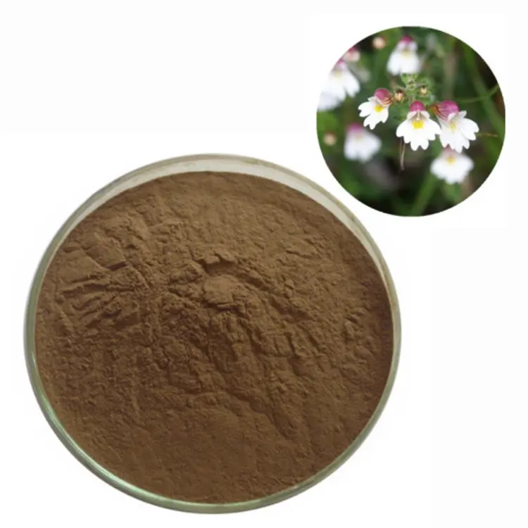 HERBASEA Factory Supply 10:1 Herbal Euphrasia Officinalis Extract Natural Organic Eyebright Extract
