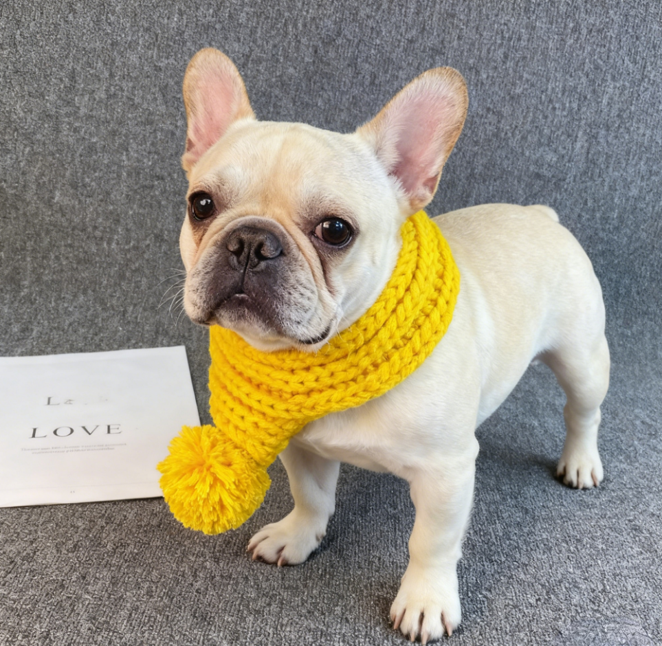 สีเหลือง