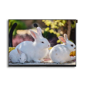 32 дюймов 3840*2160 240 int 40-контактный интерфейс RGB 12 часов HX8664-B + HX8264-E tft ЖК-модуль дисплей панель сенсорный экран - Product Image 6