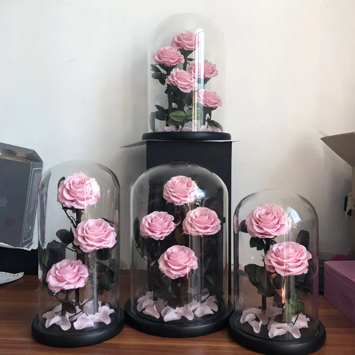 Real Natural Rose Belle Enchanted Mothers Day Gift Box Decor Everlasting Forever Eternal Rose Preserved Flower in Glass Dome LED