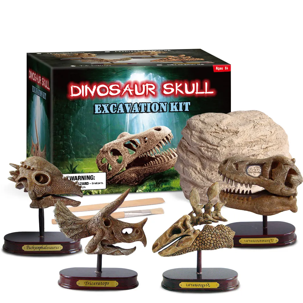 Kit de excavación de cráneo de dinosaurio para niños, cabeza de decoración de esqueleto de alta calidad, regalo de Ciencia de arqueología, juguete educativo