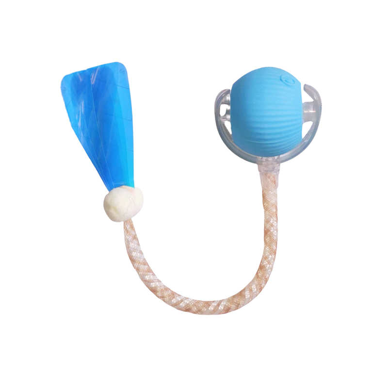 Dragonfly Tail Version Blue
