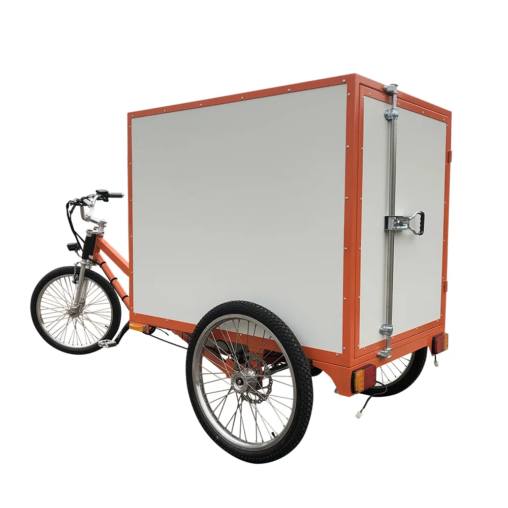 Çin üreticileri şehir sokak kargo taşımacılığı 48v 500W üç tekerlekli elektrikli kargo Trike kargo bisiklet