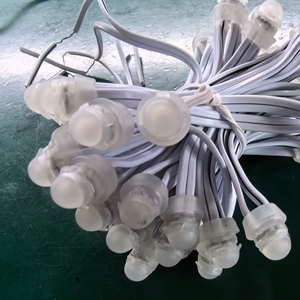 Wholesale DC5V 12V <strong>RGB</strong> Full Color Ws2811 1903 9mm 12mm Pixel <strong>Lights</strong> <strong>String</strong> Lighting Outdoor Waterproof 2811 <strong>Dmx</strong> <strong>Led</strong> Pixel <strong>Light</strong> - Product Image 1