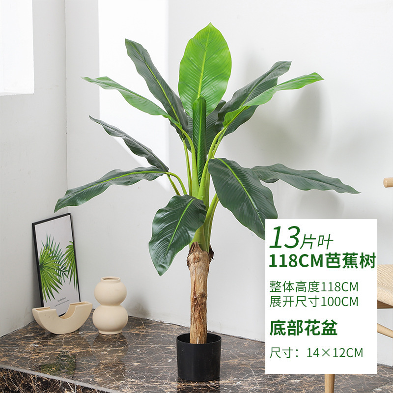 1.2 m-arbre de plantain de petite taille