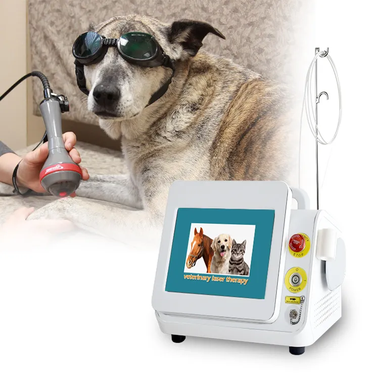 Veterinary animal pet use/Horse/dog/cat etc joint pain relief laser