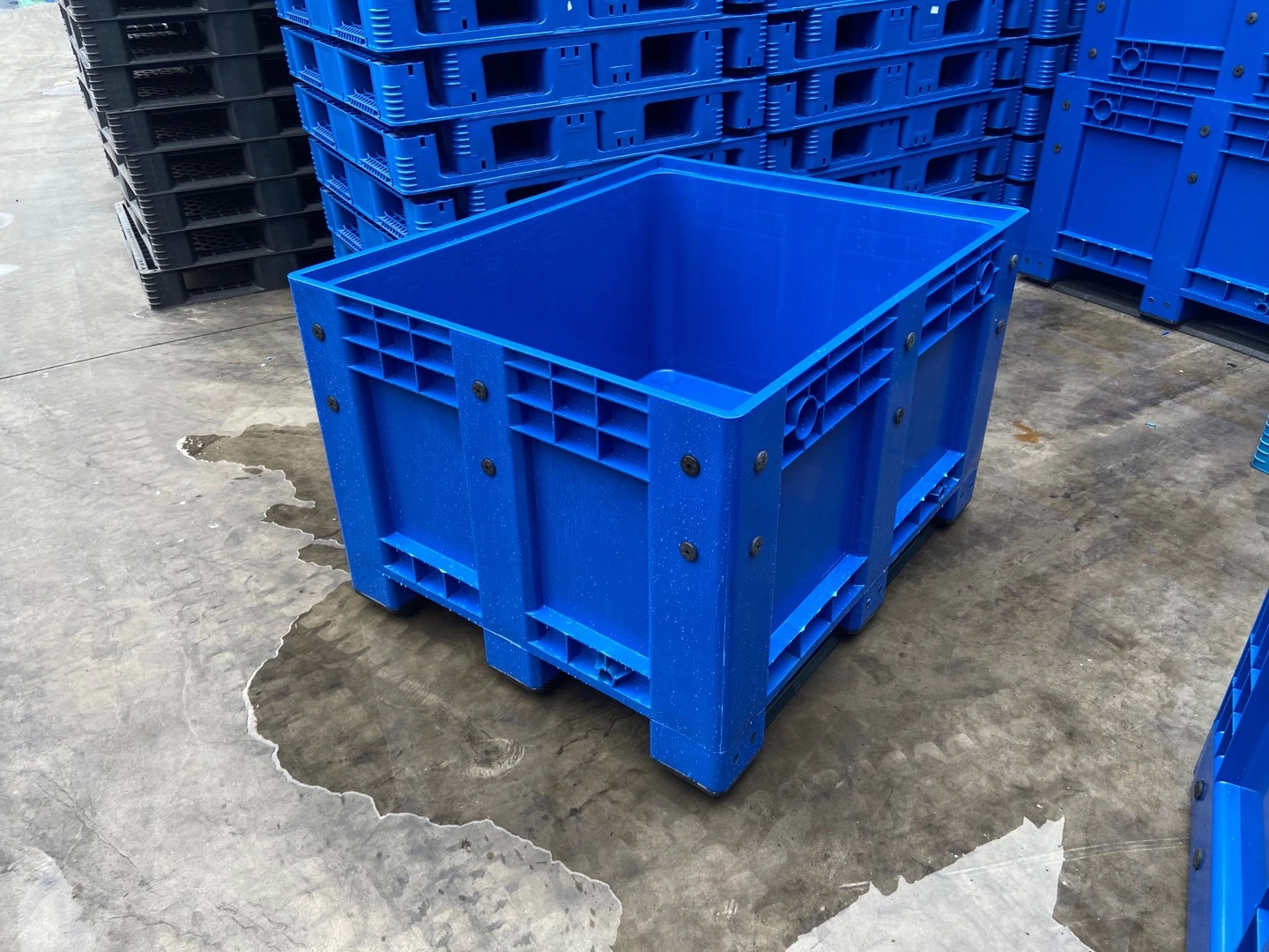 Bleu (Stock AE)