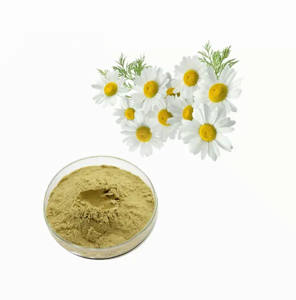 Pasokan kualitas tinggi sampel gratis ekstrak chamomile Harga terbaik 10/1 20/1 bubuk ekstrak bunga chamomile dijual