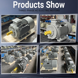 Động cơ không đồng bộ 50Hz 60Hz 1440 vòng/phút 30HP 22Kw ba giai đoạn động cơ AC động cơ điện - Product Image 6