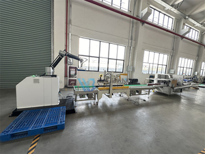 Palettizzatore Robot Scara 10-12 pz/min ad alta velocità con programmazione visiva - Product Image 2