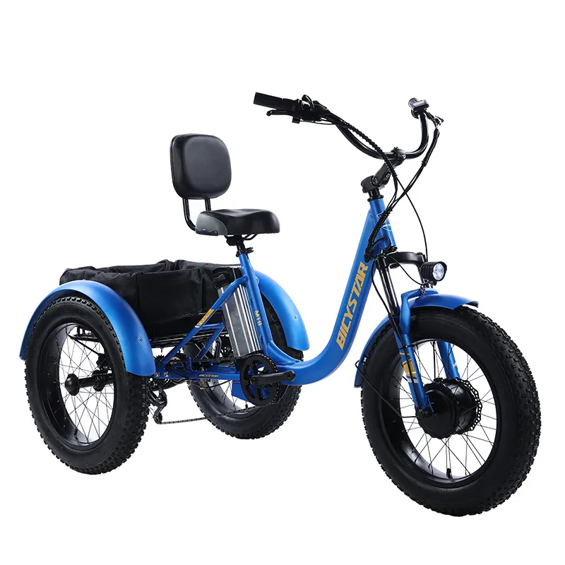 Top Gasoline 3 Wheel Bicycle Electric Tricycle Three Wheeler With High Quality