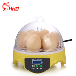 Hot Sale Intelligent Automatic Small 7 Eggs Incubator for Children Education - Product Image 1
