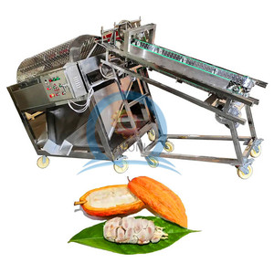 Factory Direct <strong>Cocoa</strong> Bean <strong>Sorting</strong> and Cleaning <strong>Machine</strong> for <strong>Cocoa</strong> Pod Processing - Product Image 3