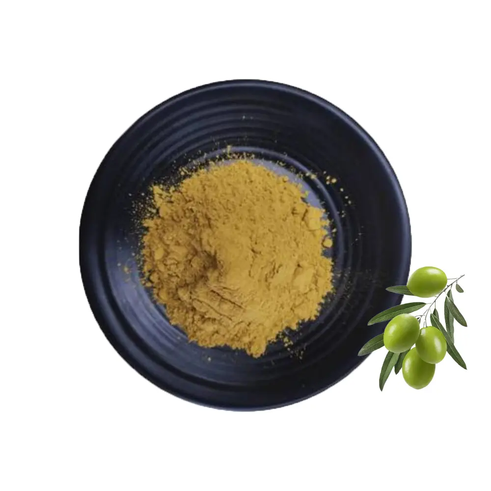 Integratore alimentare estratto di foglie di olivo in polvere acido oleanolico idrossitirosolo oleuropeina estratto di foglie di olivo
