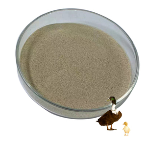 Biofloc Biofloc Probiotics Fish Bacillus Subtilis Fermentation - Product Image 3