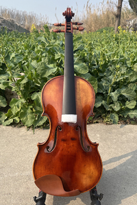 Ming Jiang Zhu 4/4 VN905 1735 Degville Violin Sinomusik String Instruments