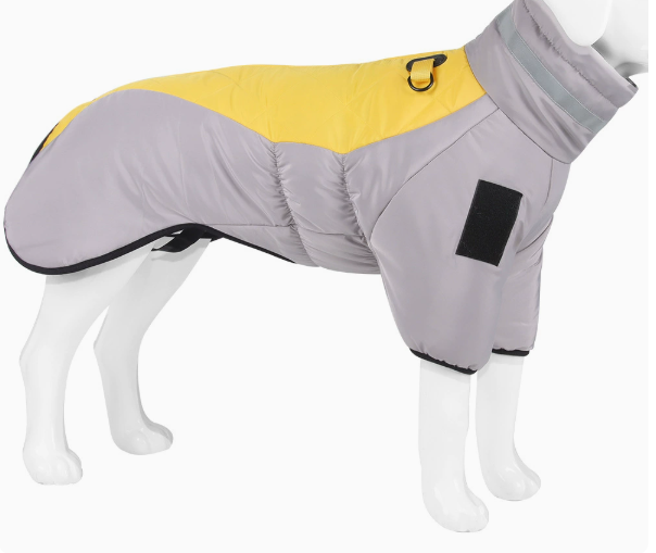 Gris Amarillo