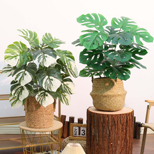 Backtrop Evergreen ağaçları yapay yeşillik saksı yapay ağaç bitkileri toptan - Product Image 6