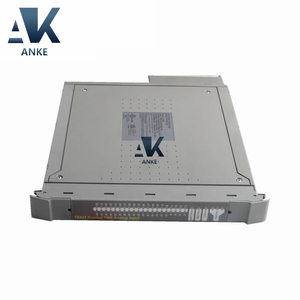 Módulo de entrada analógica de 40 canales ICS Triplex T8431 - Product Image 1